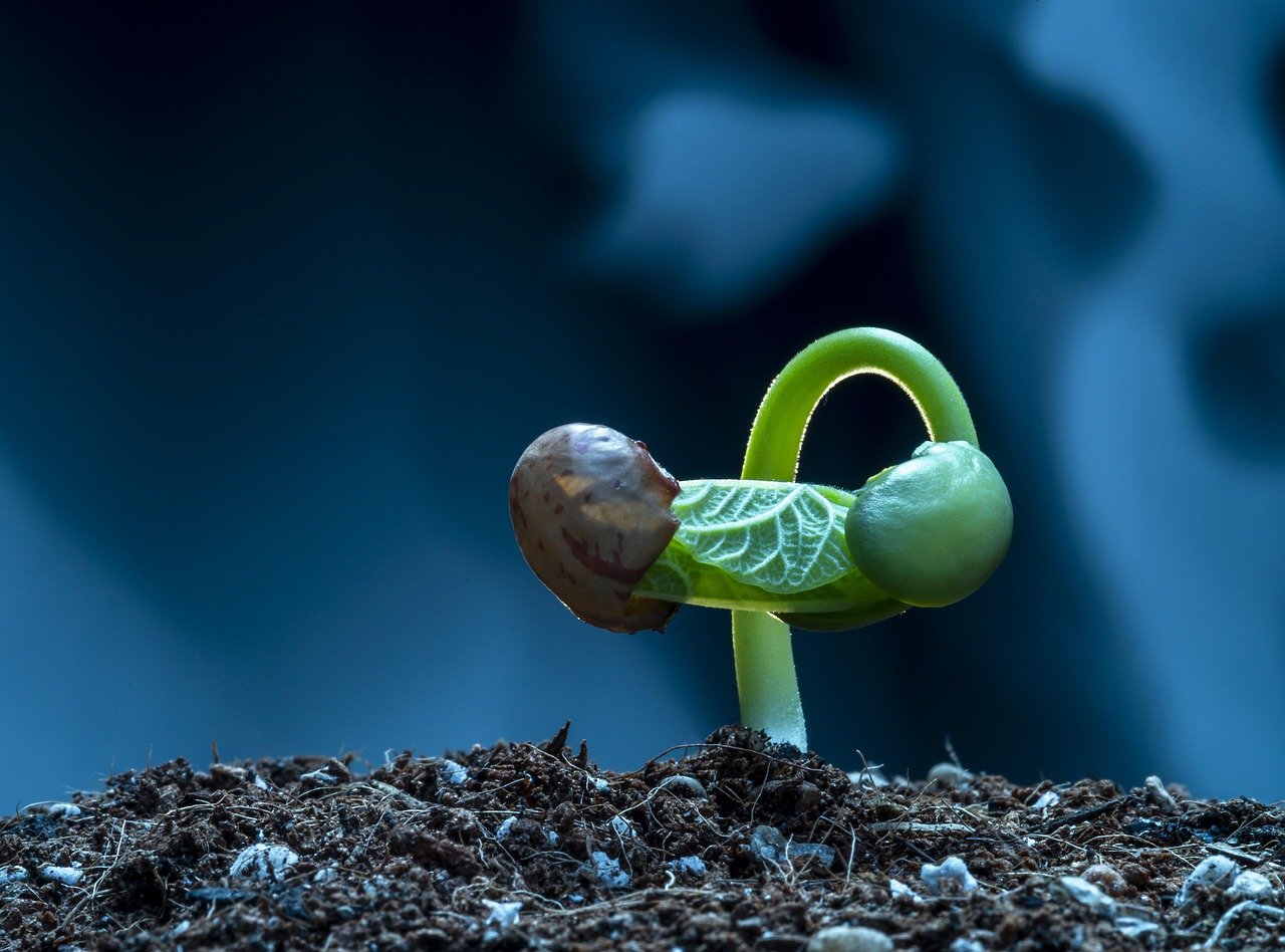 A new year always brings fresh motivation, but real transformation comes from small habits